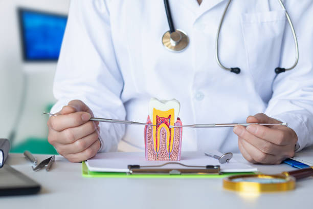 Best Weekend Emergency Dentist in Canterwood, WA
